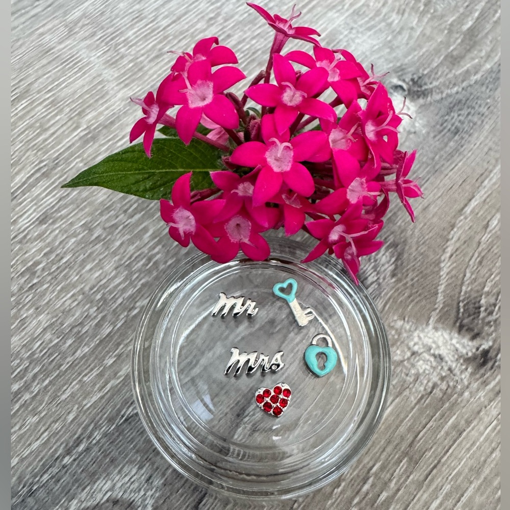 💍 Origami Owl Five Charms… Mr, Mrs, Red Crystal Heart, Lock & Key